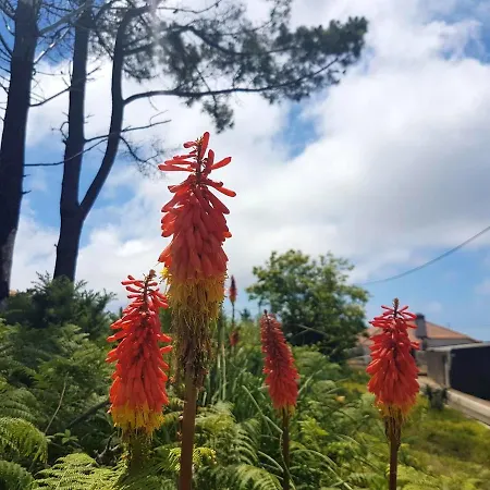 Charming In Prazeres With Shared Pool - 150 M² Campanario