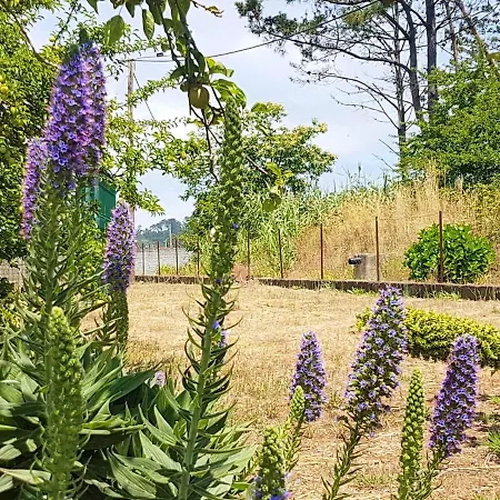 Charming In Prazeres With Shared Pool - 150 M² Campanario