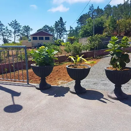 Charming In Prazeres With Shared Pool - 150 M² * Campanario